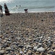 Professeur tutrice pour cours ou soutien de français /anglais